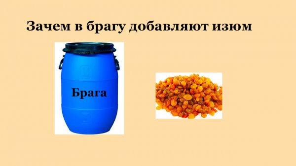 Зачем изюм в браге.