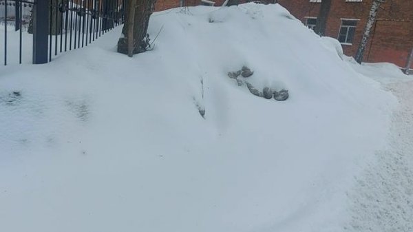 Москву замело