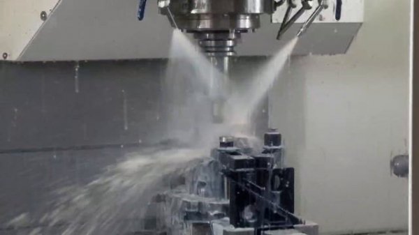 video5242278455470495511