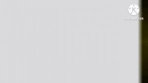 lg logo 1995 G-Major 161 Mark Skrypnik