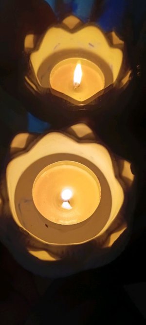 влог с бумажными собачками2