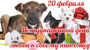 С МЕЖДУНАРОДНЫМ ДНЁМ ЛЮБВИ К ДОМАШНИМ ПИТОМЦАМ