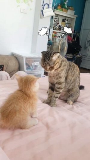 Когда достаточно одно маминого взгляда, чтобы всё понять