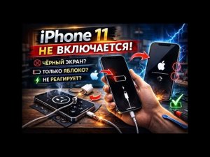 iPhone 11 не вкл\ Диагностика