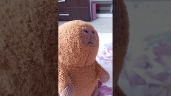 капибара поназаказывала