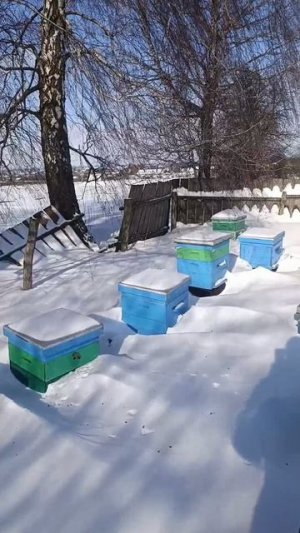 заяц пригрелся на солнышке