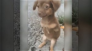 Видео от МЭН - Мне Это Нравится