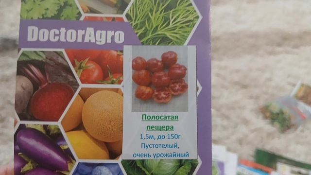 Посеяла томаты для теплицы.Рассада перцев и цветов.Купила алоказию Регал Шилдс.Новые фитосветильники смотреть онлайн