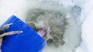 Запуск 20.02.26