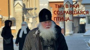 «ТЫ - В РАЙ СОБРАВШАЯСЯ ПТИЦА…»