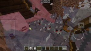 ИГРОК   НАДЕЛАЛ  100  СОБАК