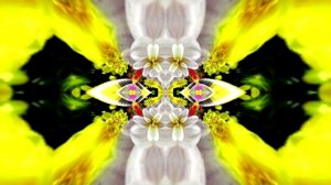 Футажи! Футаж Очаровательные фантастические пейзажи 6!