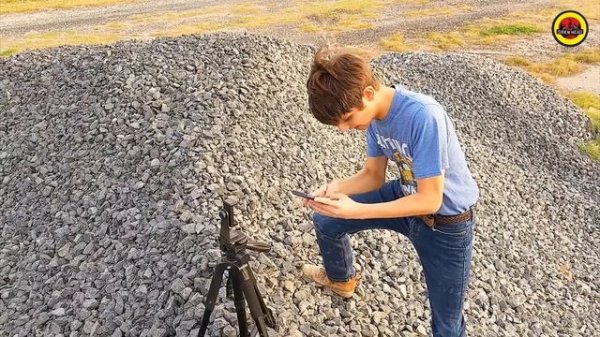 фонариголовый филем фонариголовый отакует