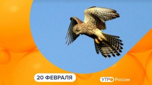 Утро России. Калуга (20.02.2026)