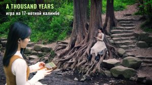 «A Thousand Years». Кавер для калимбы музыки из фильма «Сумерки. Сага. Рассвет»