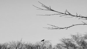 Русский Рок, Рок музыка, Топ Лучших Песен, Shadows. Лѣто: 2025