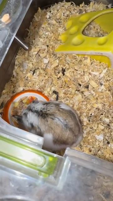 Маленький для общения. смотреть онлайн