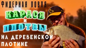 Фидерная ловля карася и плотвы на деревенской плотине.