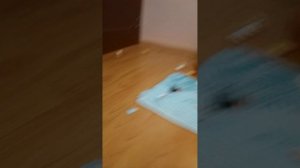 просто сумасшествие Дима заметь