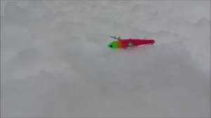 Утро на Спорт-зоне. Клёвое место Лосиный