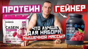 Протеин или гейнер: что лучше для набора мышечной массы?