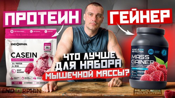 Протеин или гейнер: что лучше для набора мышечной массы?