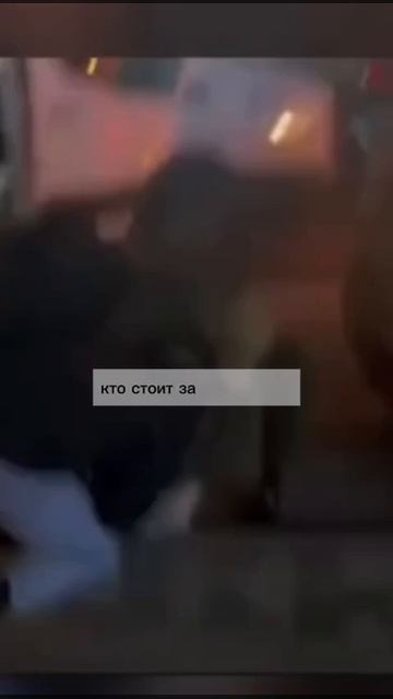 Следственный комитет отказался возбуждать уголовное дело против сотрудников полиции из Подольска