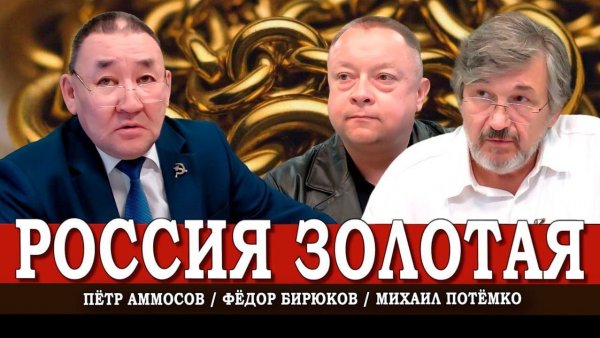 Золотые цепи, или Почему богатство не обогащает страну | Аммосов | Потёмко | Бирюков