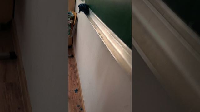 школьный абоба