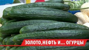 ФАС запросила информацию о ценах на огурцы в Иркутской области