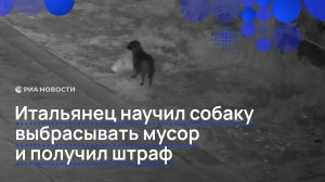 Сицилиец научил собаку выбрасывать мусор, чтобы не нарваться на штраф