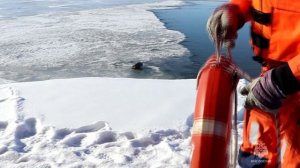 Навыки спасения отработали хабаровские спасатели МЧС России на реке