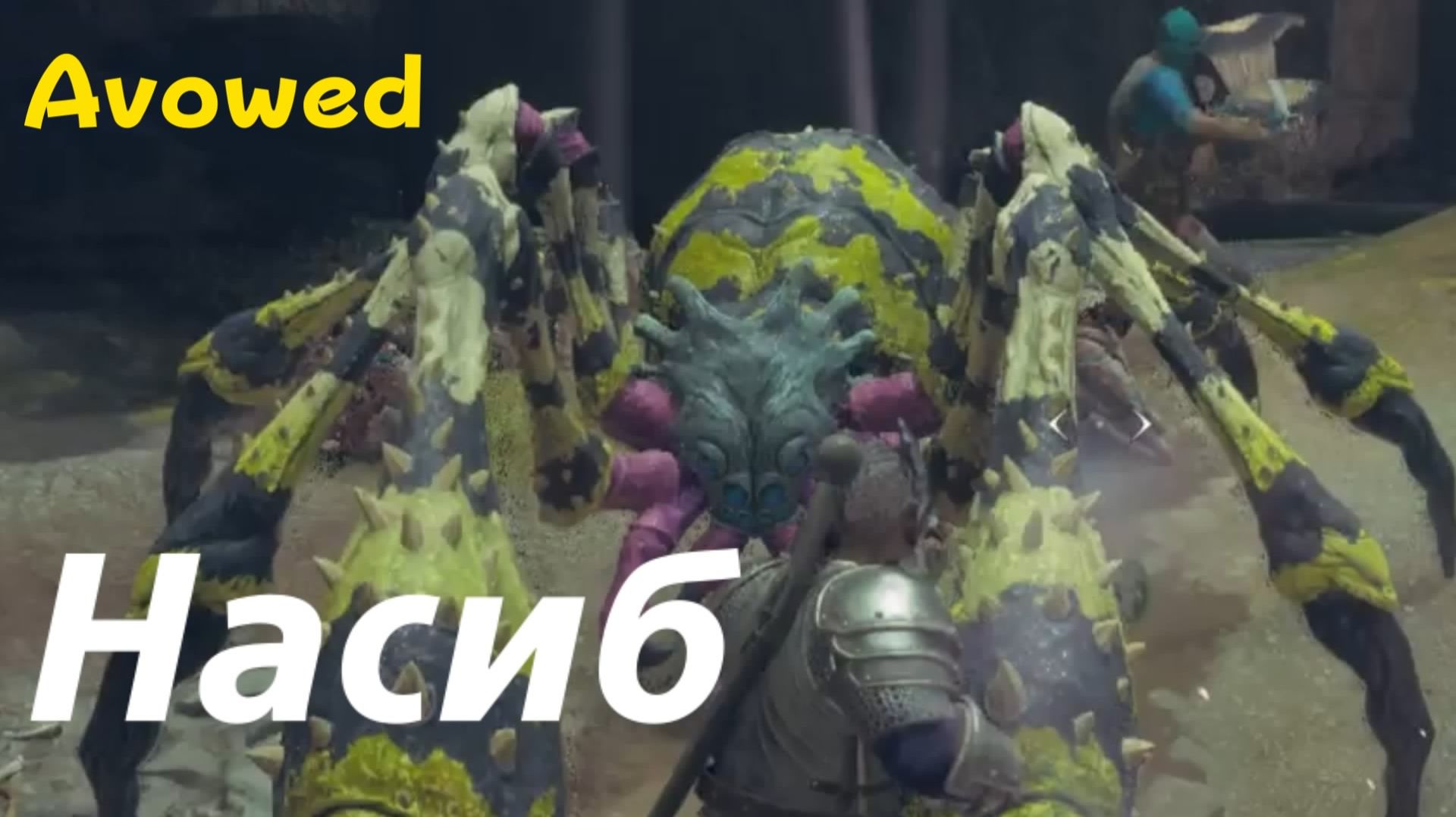 Avowed - босс паук Насиб (PS5 Pro)