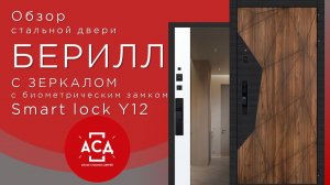 Стальная дверь Берилл с зеркалом c биометрическим замком Smart lock y12