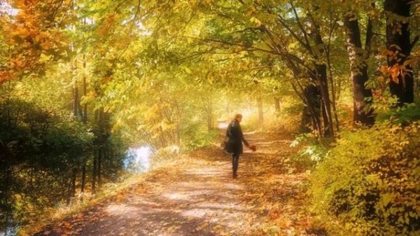 Т.Гвердцители-Листопад