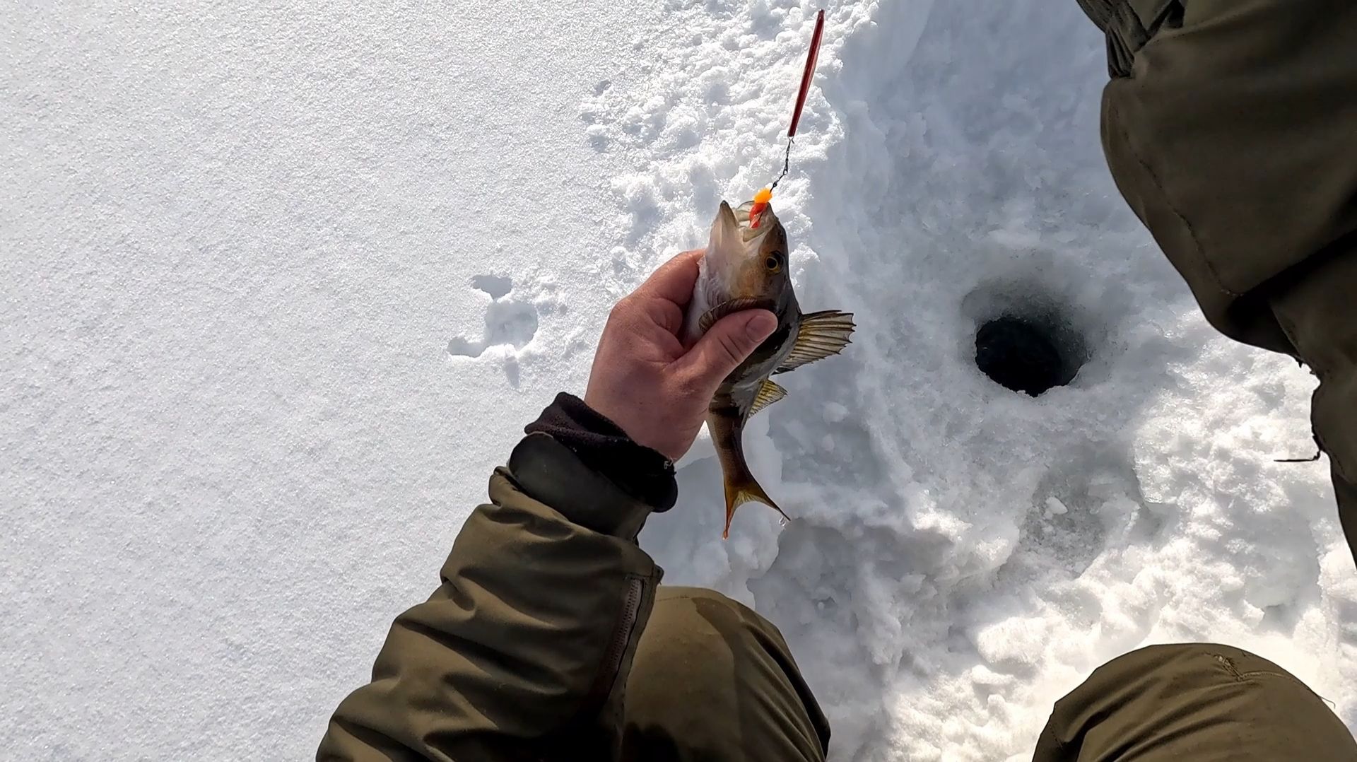 РЫБАК ПРОБРАЛСЯ НА СПРЯТАННОЕ ЛЕСНОЕ ОЗЕРО. ПРОСТАЯ РЫБАЛКА НА СЕВЕРЕ. РЫБЫ МНОГО ПОПРОБУЙ ПОЙМАЙ. смотреть онлайн