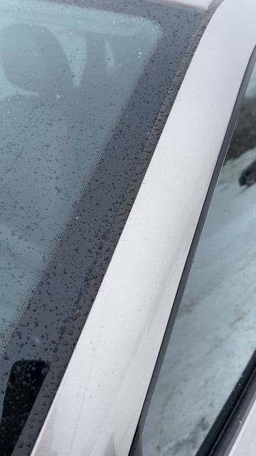 IMG_3675 смотреть онлайн