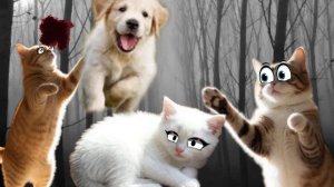 На Марфу напала СОБАКА!?!?!? ЕСЛИ БУДИТ МАЛО ПРОСМОТРОВ УБЬЮ