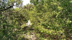 В 37 °С жару идём с сыном в гору в Большом Утрише на Чёрном море