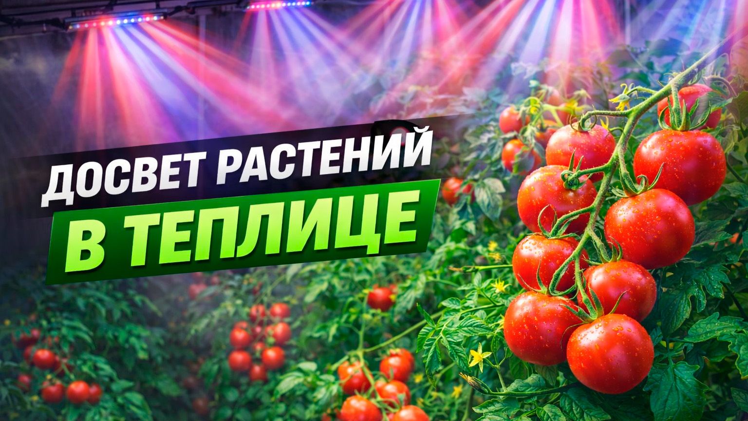 Автономная теплица ч12. Досвет смотреть онлайн