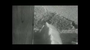 Полярник. Компас Сердца