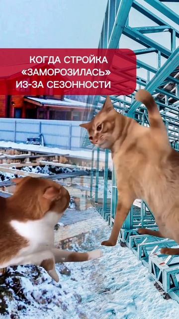 Если хотите больше узнать о наших проектах, переходите по ссылке в шапке профиля смотреть онлайн