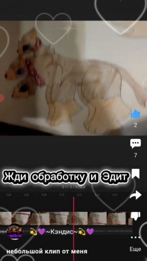 Кэндис