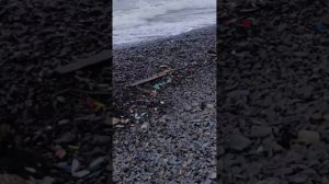 Пляж Сукко после шторма 20 Февраля 2026 года