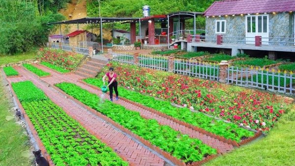 Перекрестная укладка множества кирпичей для красивой дорожки между грядками. Серия 32. Ли Фук Ви
