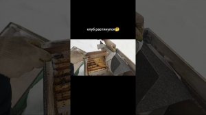 клуб растянулся.