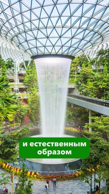 Это самый красивый аэропорт на планете — сингапурский Чанги