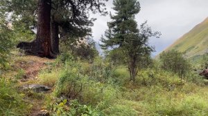 Саяны 2025г. Часть 4. Шумак -Гол.