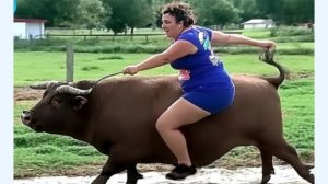 Самые Лучшие Приколы Недели