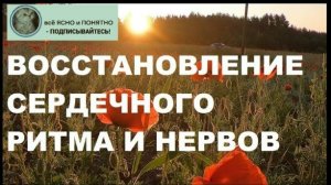 ПОЮЩИЕ ЖАВОРОНКИ. РАССВЕТ НА МАКОВОМ ПОЛЕ. ПЕНИЕ ОТЛИЧНО ВОССТАНАВЛИВАЕТ НЕРВНУЮ СИСТЕМУ И ДАВЛЕНИЕ!